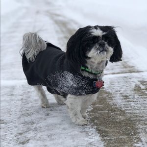 Meet your Posher, Renee